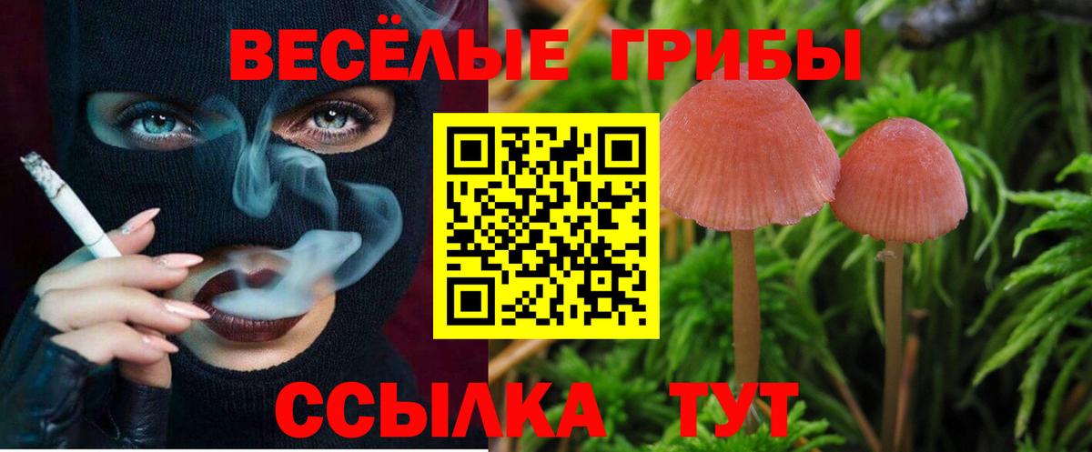 Тавда  Галлюциногенные грибы прущие грибы  Вход с VPN  Псилоцибиновые грибы прущие грибы 